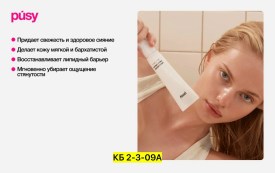 Одежда