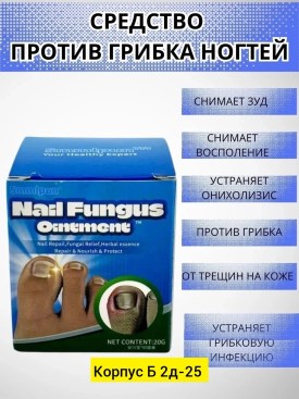 Новый год