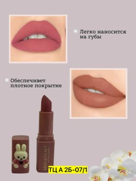 Одежда