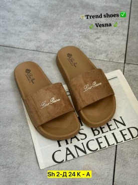 Сланцы