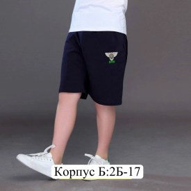 Шорты