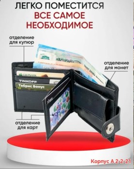 Одежда
