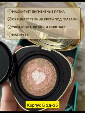 Одежда