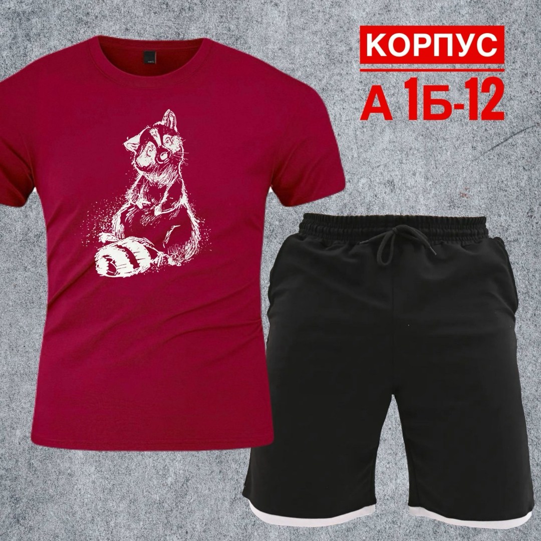 футболки комплект,костюм подростковый,костюм спортивный мужской,костюм мужской,костюм для мужчин