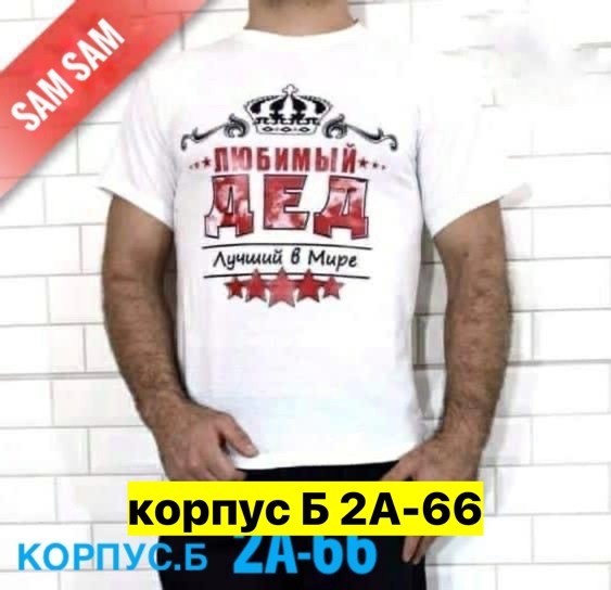 футболка лучший в мире дед,футболки мужские,футболка для дедушки,футболки для мужчин,футболка самый лучший в мире дед