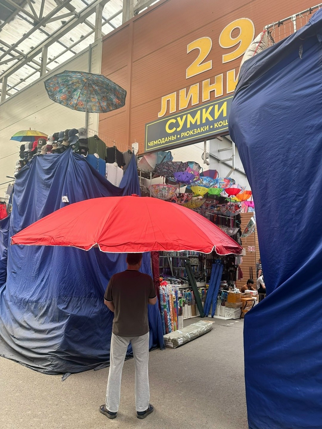 зонтики,зонт зонт,большой зонтик,зонт,пляжные зонтики