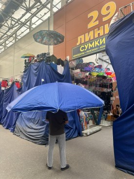 Одежда