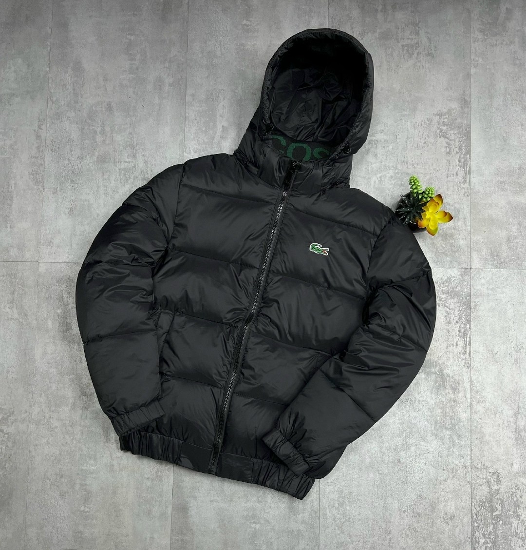 мужские пуховики lacoste,зимняя куртка lacoste,пуховик lacoste,куртка lacoste,куртка лакост мужская