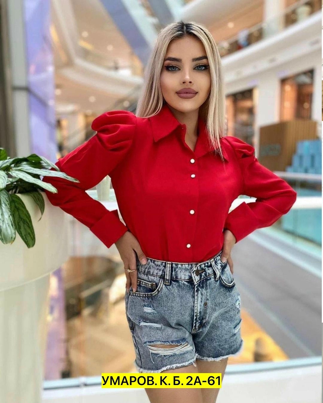 блузка женская классическая,модные блузы,блузка женская,блузка женская модная,женская рубашка