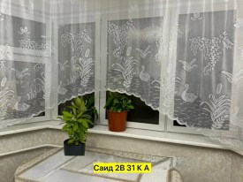 Одежда