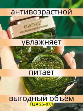 Одежда
