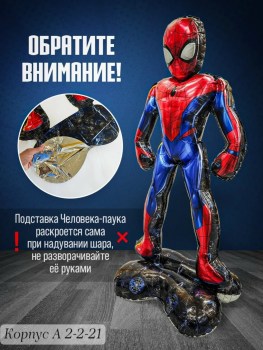 Одежда