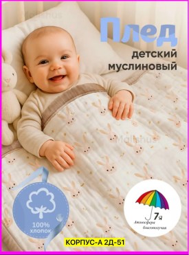 Одежда