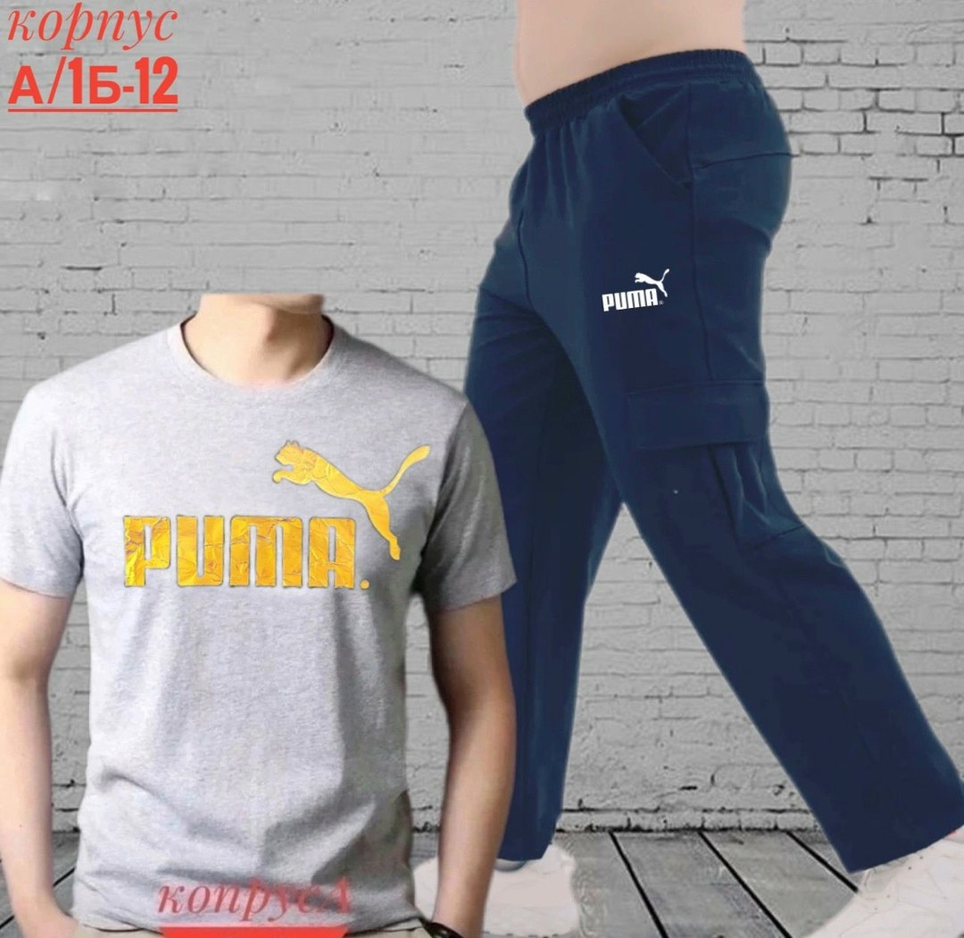 брюки спортивные puma,костюм мужской puma,костюм спортивный мужской,спортивные костюм,костюм мужской