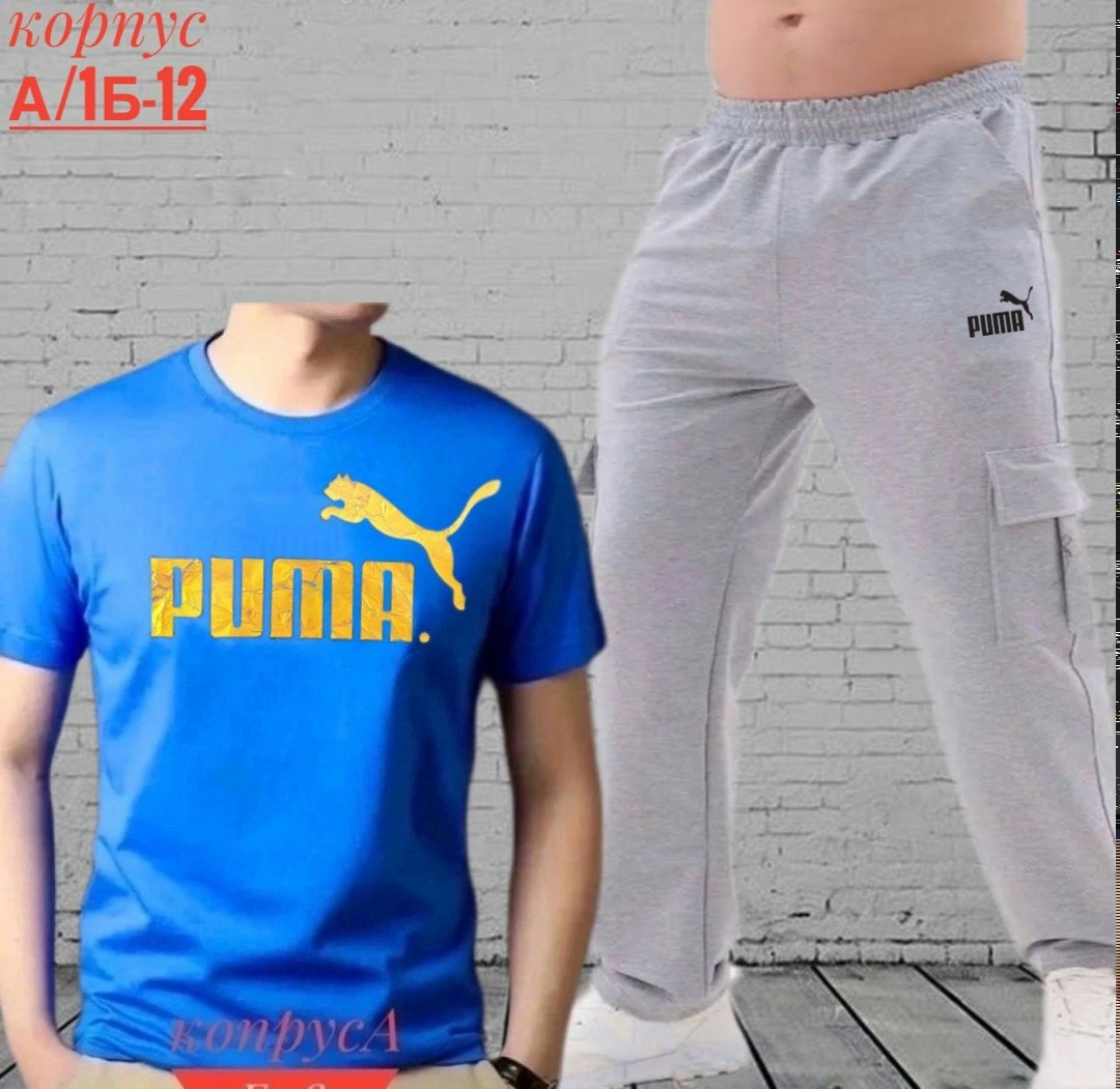 брюки спортивные puma,костюм мужской puma,костюм спортивный мужской,спортивные костюм,костюм мужской