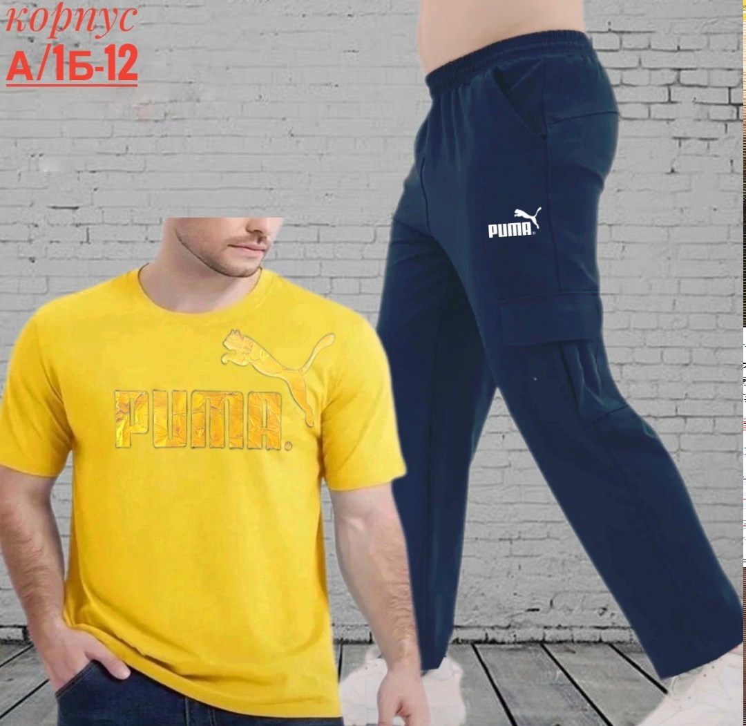 брюки спортивные puma,костюм мужской puma,костюм спортивный мужской,спортивные костюм,костюм мужской