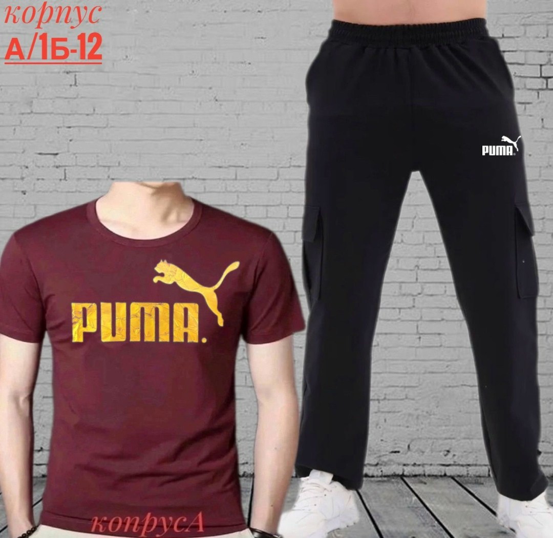 брюки спортивные puma,костюм мужской puma,костюм спортивный мужской,спортивные костюм,костюм мужской