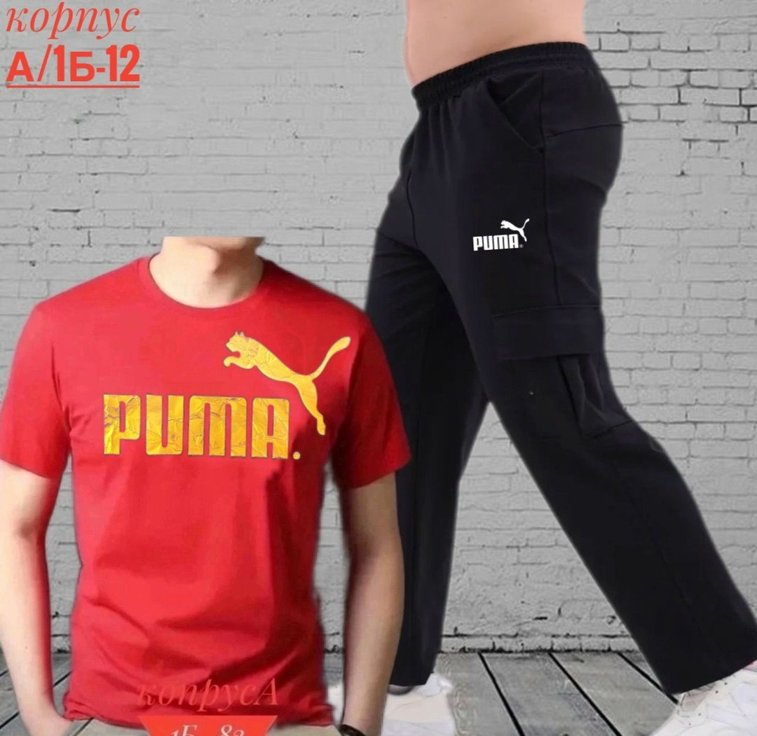 брюки спортивные puma,костюм мужской puma,костюм спортивный мужской,спортивные костюм,костюм мужской