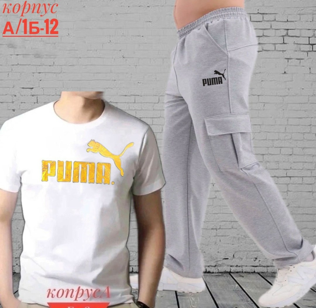 брюки спортивные puma,костюм мужской puma,костюм спортивный мужской,спортивные костюм,костюм мужской