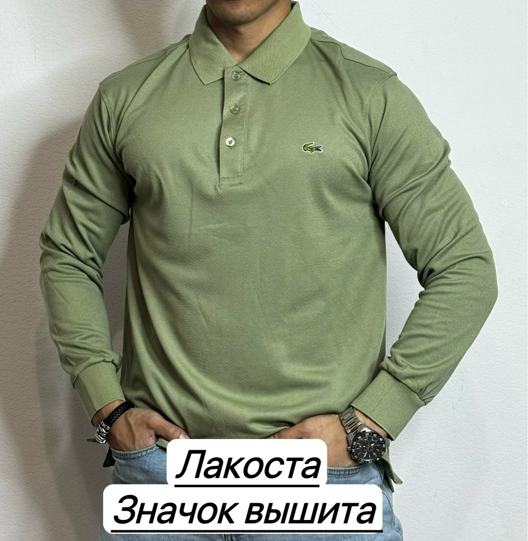 мужская кофта,кофта поло,мужское одежда,мужская мода,поло с длинным рукавом лакост