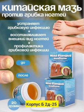 Новый год