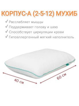 Одежда