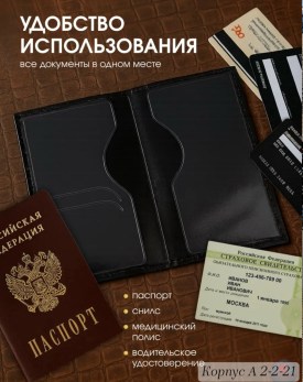Одежда