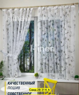 Одежда