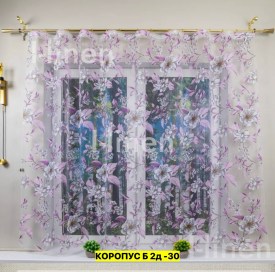 Одежда