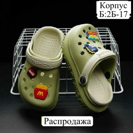 Сланцы