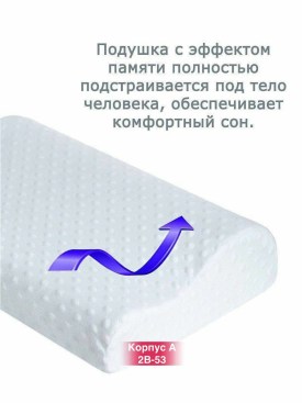 Одежда
