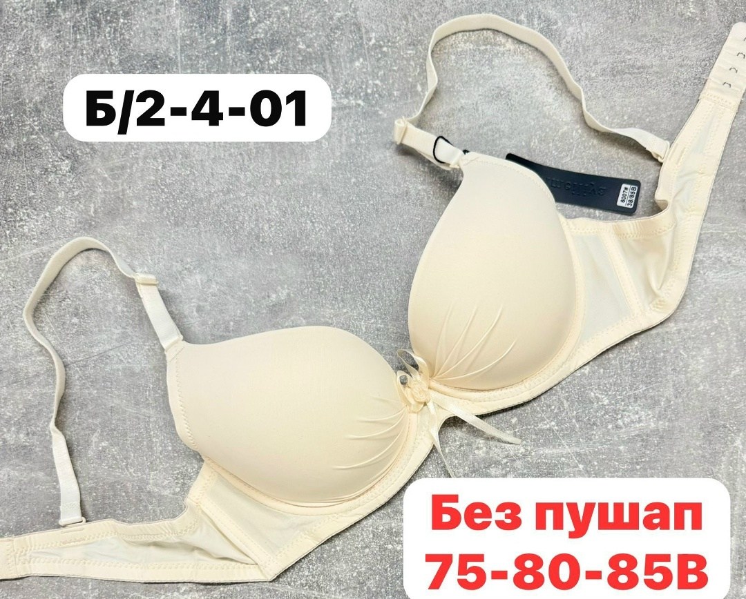 бюстгальтер женские,бюстгальтер пуш ап,бюстгальтер,бюстгальтер пушап,бюстгальтер без пушап