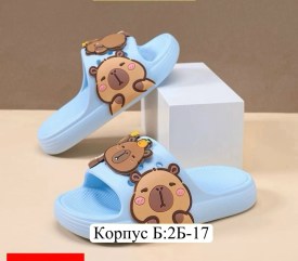 Сланцы