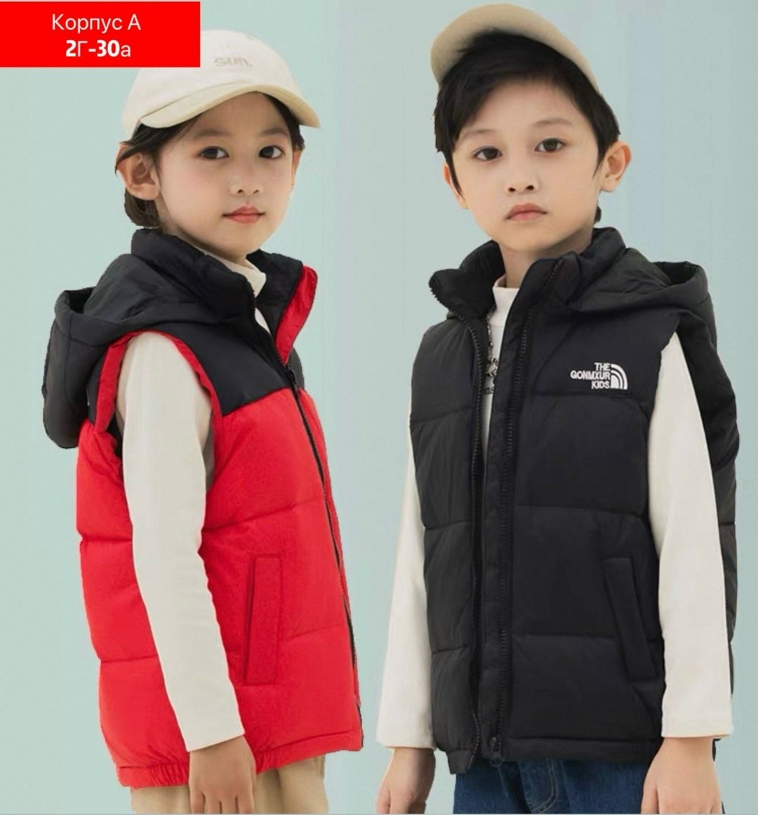 жилет the north face,жилетка для детей,жилет детский,жилетки,детская жилетка