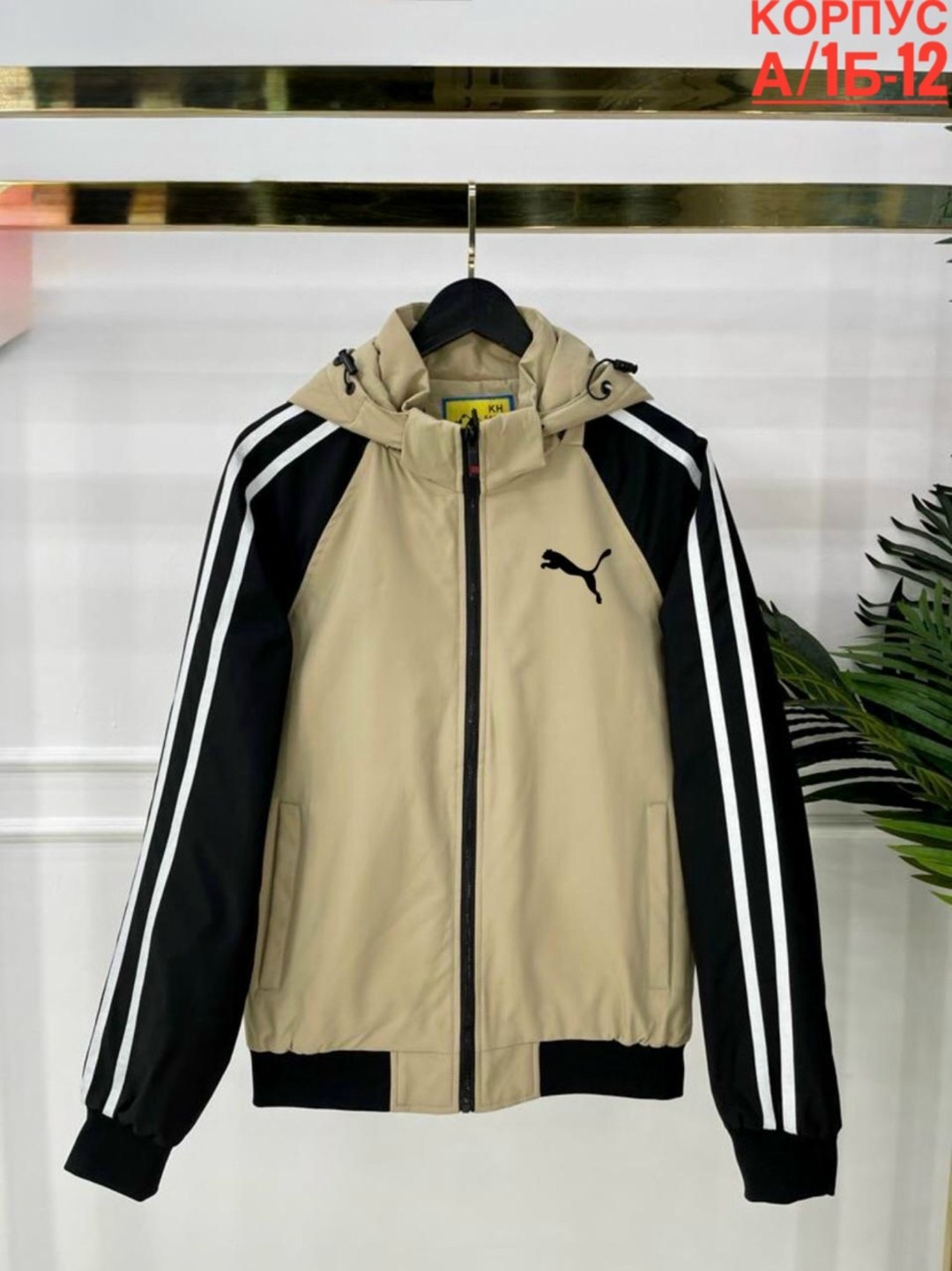 adidas ветровка,ветровка мужская adidas,бежевая ветровка adidas,ветровка adidas хаки,ветровка от adidas