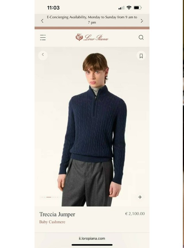 кардиган loro piana,кашемировый кардиган loro piana,кашемировый кардиган в сером цвете от loro piana,loro piana свитер мужской,кардиган loro piana 110074
