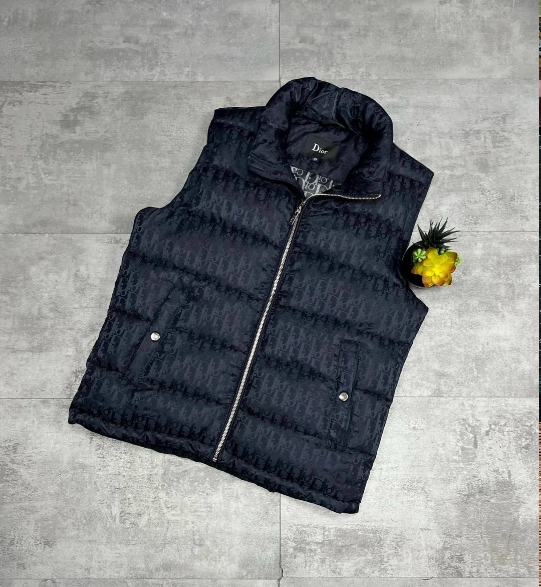 жилетка dior,жилетка мужская утепленная,жилетка безрукавка,жилетка мужская,жилетка мужская безрукавка