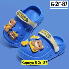 Сланцы