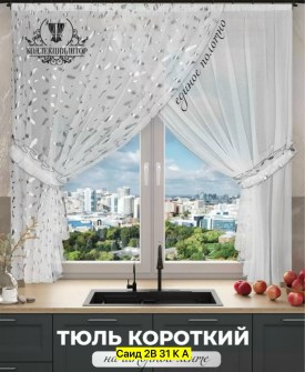 Одежда