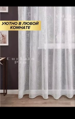 Одежда