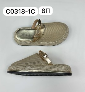 Сланцы