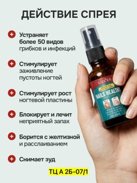 Одежда