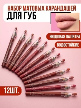 Одежда