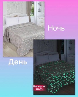Одежда