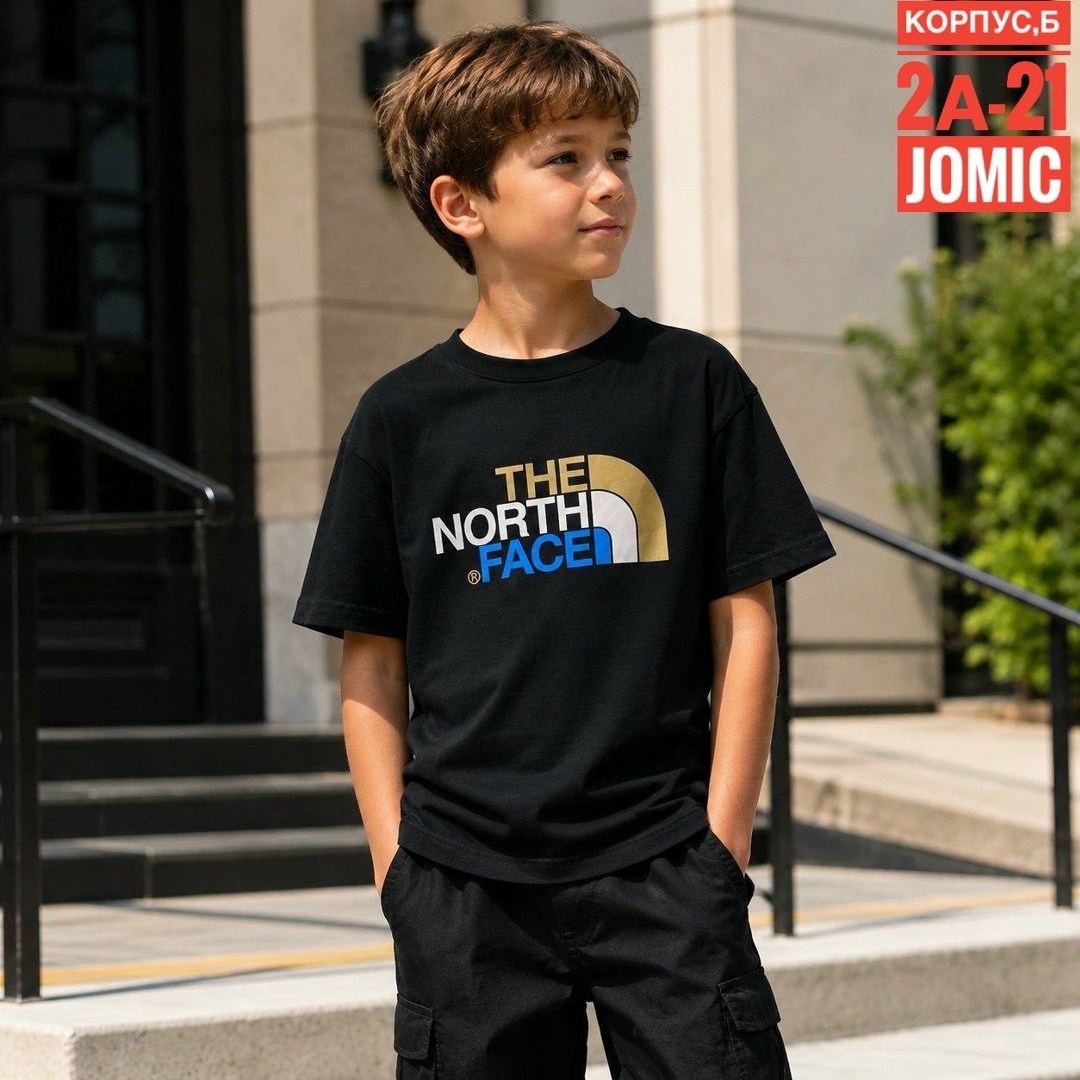 мужские футболки the north face,футболка the north face,футболка the north face белый,футболки для подростков,для мальчиков the north face