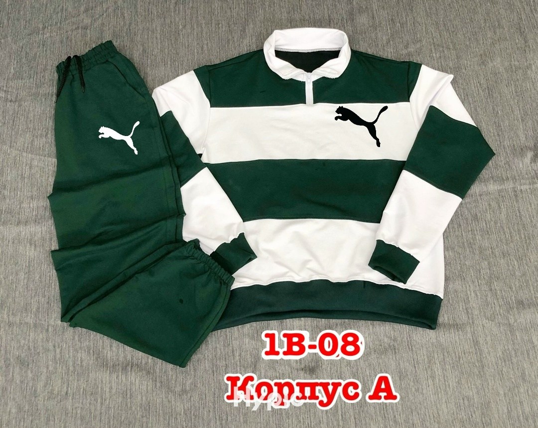 спортивные костюм,костюм спортивный мужской,спортивный костюм puma,спортивный костюм мужской спортивный костюм,спортивные костюмы на флисе