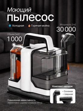 Одежда