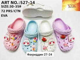 Сланцы