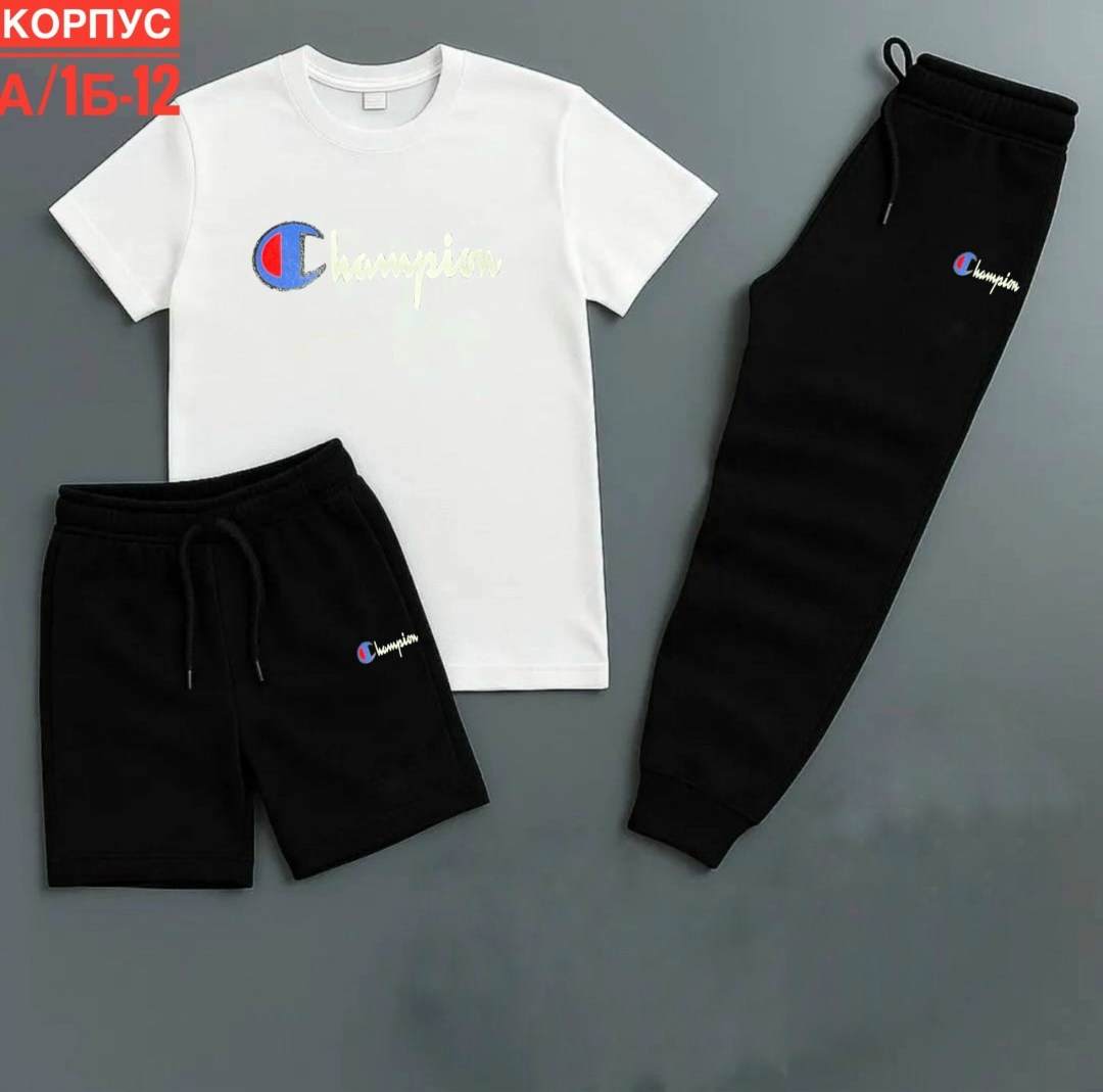футболки мужские champion,спортивные костюм,комплект футболка,костюм повседневный