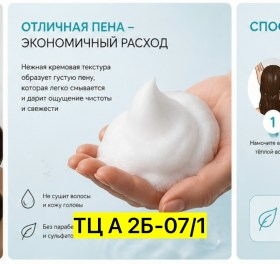 Одежда